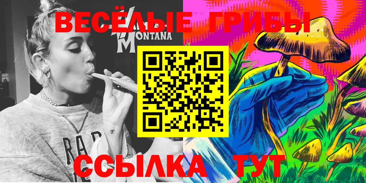 Камень-на-Оби  Галлюциногенные грибы Psilocybe  Вход с VPN 